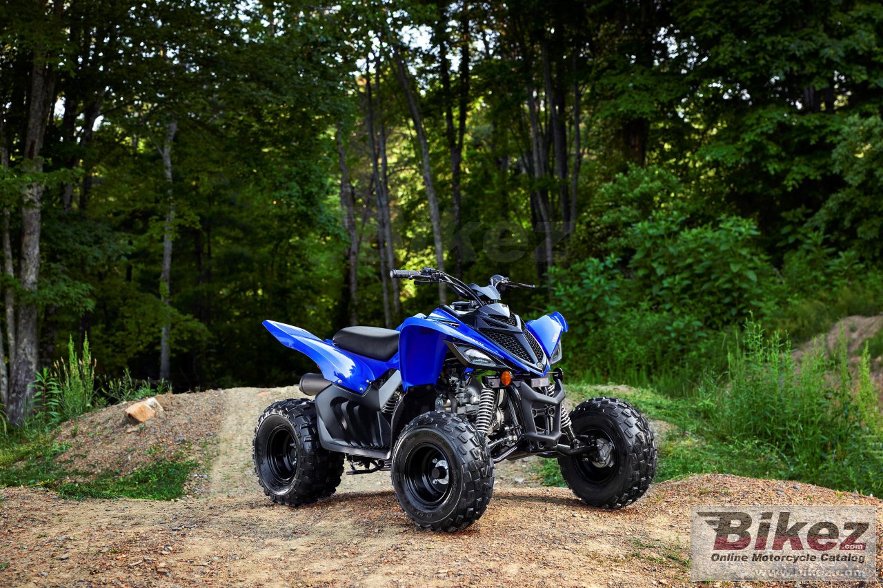 Yamaha Raptor 90 poster